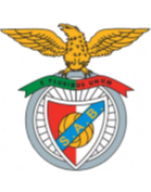 https://img.zsdx.net/img/football/team/13d8d22b32e0803f939082416da63541.png