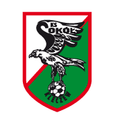 https://img.zsdx.net/img/football/team/e6a8908dd206e2ea02d9803c82c60bba.png